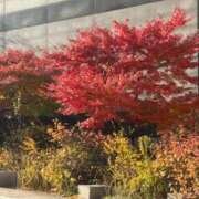 れいこ ダウンを出しました🍁 奥様の実話 谷九店