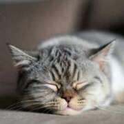 れいこ 風が冷たいですね！ 奥様の実話 谷九店