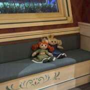 ヒメ日記 2025/12/15 09:10 投稿 れん ミルキーラテ