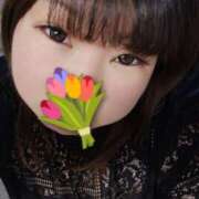 ひまり 次の出勤予定? 池袋ぱんぷきん（シンデレラグループ）