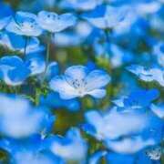 ヒメ日記 2025/10/16 03:09 投稿 うつみ SCREEN(スクリーン)