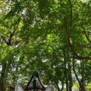 うつみ お礼💗 SCREEN(スクリーン)