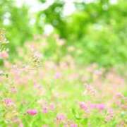 ヒメ日記 2026/02/23 22:57 投稿 うつみ SCREEN(スクリーン)