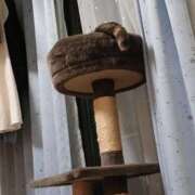 ヒメ日記 2025/12/19 16:02 投稿 東（あずま） 丸妻 錦糸町店