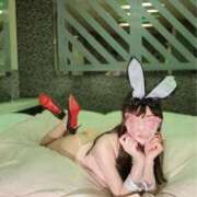 キセキ 眠れない夜は… バニーコレクション新潟店