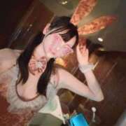 ヒメ日記 2026/03/13 12:00 投稿 キセキ バニーコレクション新潟店