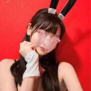 ヒメ日記 2026/04/05 12:00 投稿 キセキ バニーコレクション新潟店