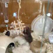 ヒメ日記 2025/10/24 20:54 投稿 すず ダイスキ