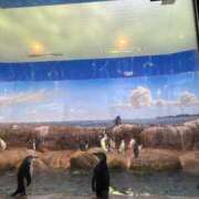 ヒメ日記 2025/10/30 21:33 投稿 すず ダイスキ