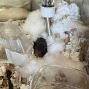 ヒメ日記 2025/11/05 08:10 投稿 すず ダイスキ