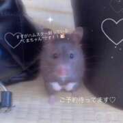 ヒメ日記 2025/11/19 18:33 投稿 すず ダイスキ