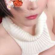 ヒメ日記 2025/10/12 15:49 投稿 もみじ 奥様なでしこ