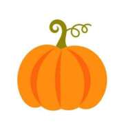 ヒメ日記 2025/10/15 16:15 投稿 梨花 素人妻達☆マイふぇらレディー