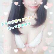 梨花 こんばんは🌛 素人妻達☆マイふぇらレディー