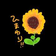 ヒメ日記 2026/07/28 07:19 投稿 椎名ひまり 癒されるワイフ