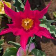 ヒメ日記 2026/04/20 23:16 投稿 心春(こはる) グランドオペラ横浜