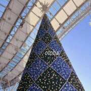 ヒメ日記 2025/10/17 07:26 投稿 山名おとは クラブダンディー