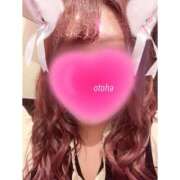 ヒメ日記 2025/10/23 13:01 投稿 山名おとは クラブダンディー