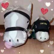 ヒメ日記 2025/12/29 10:04 投稿 山名おとは クラブダンディー