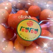 ヒメ日記 2026/02/03 20:35 投稿 山名おとは クラブダンディー