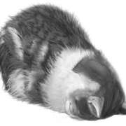 ヒメ日記 2025/12/11 16:03 投稿 りほ◆変態美貌のオナニー中毒姫 即イキ淫乱倶楽部 高崎店