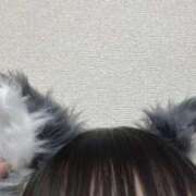 ヒメ日記 2025/10/30 01:05 投稿 ラブ ドMなバニーちゃん すすきの店