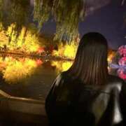 ヒメ日記 2025/11/06 10:18 投稿 ラブ ドMなバニーちゃん すすきの店