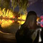 ヒメ日記 2025/11/22 01:03 投稿 ラブ ドMなバニーちゃん すすきの店