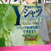ヒメ日記 2026/07/01 15:29 投稿 ラブ ドMなバニーちゃん すすきの店