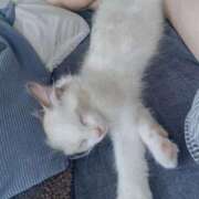 ヒメ日記 2025/10/15 14:23 投稿 ホタルちゃんに拒否権なし‼️ GOOD-グッド-