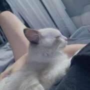 ヒメ日記 2025/10/17 22:16 投稿 ホタルちゃんに拒否権なし‼️ GOOD-グッド-