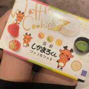ヒメ日記 2025/10/20 12:24 投稿 ホタルちゃんに拒否権なし‼️ GOOD-グッド-