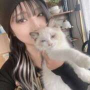 ヒメ日記 2025/10/21 11:04 投稿 ホタルちゃんに拒否権なし‼️ GOOD-グッド-