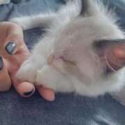 ヒメ日記 2025/11/19 11:37 投稿 ホタルちゃんに拒否権なし‼️ GOOD-グッド-