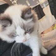 ヒメ日記 2026/02/24 00:03 投稿 ホタルちゃんに拒否権なし‼️ GOOD-グッド-