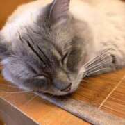 ヒメ日記 2026/04/05 21:04 投稿 ホタルちゃんに拒否権なし‼️ GOOD-グッド-