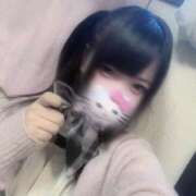 ヒメ日記 2026/04/02 21:56 投稿 トール Cawaiiハイ！スクールリターンズ