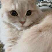 ヒメ日記 2025/10/24 00:06 投稿 牙狼 Cawaiiハイ！スクールリターンズ