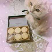 ヒメ日記 2026/02/06 15:18 投稿 牙狼 Cawaiiハイ！スクールリターンズ