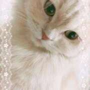 ヒメ日記 2026/03/04 23:15 投稿 牙狼 Cawaiiハイ！スクールリターンズ