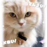 ヒメ日記 2026/03/09 01:36 投稿 牙狼 Cawaiiハイ！スクールリターンズ