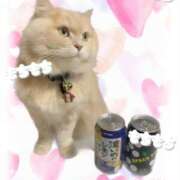 ヒメ日記 2026/03/10 00:51 投稿 牙狼 Cawaiiハイ！スクールリターンズ