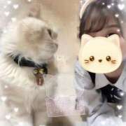 ヒメ日記 2026/03/13 03:42 投稿 牙狼 Cawaiiハイ！スクールリターンズ