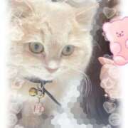 ヒメ日記 2026/04/02 15:50 投稿 牙狼 Cawaiiハイ！スクールリターンズ