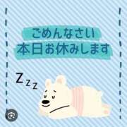 ヒメ日記 2025/11/19 09:08 投稿 公文 西川口デッドボール