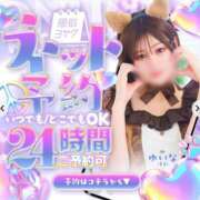 ヒメ日記 2026/03/20 11:26 投稿 ゆいな しゃんぜりぜ
