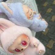 ヒメ日記 2025/10/21 17:03 投稿 すい ZERO