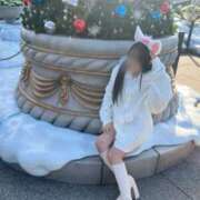 ヒメ日記 2025/11/24 23:58 投稿 すい ZERO