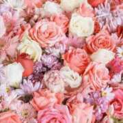 ヒメ日記 2025/11/26 08:16 投稿 よる 西船人妻花壇