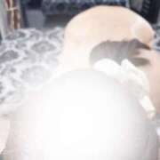 ヒメ日記 2026/03/23 19:51 投稿 よる 西船人妻花壇